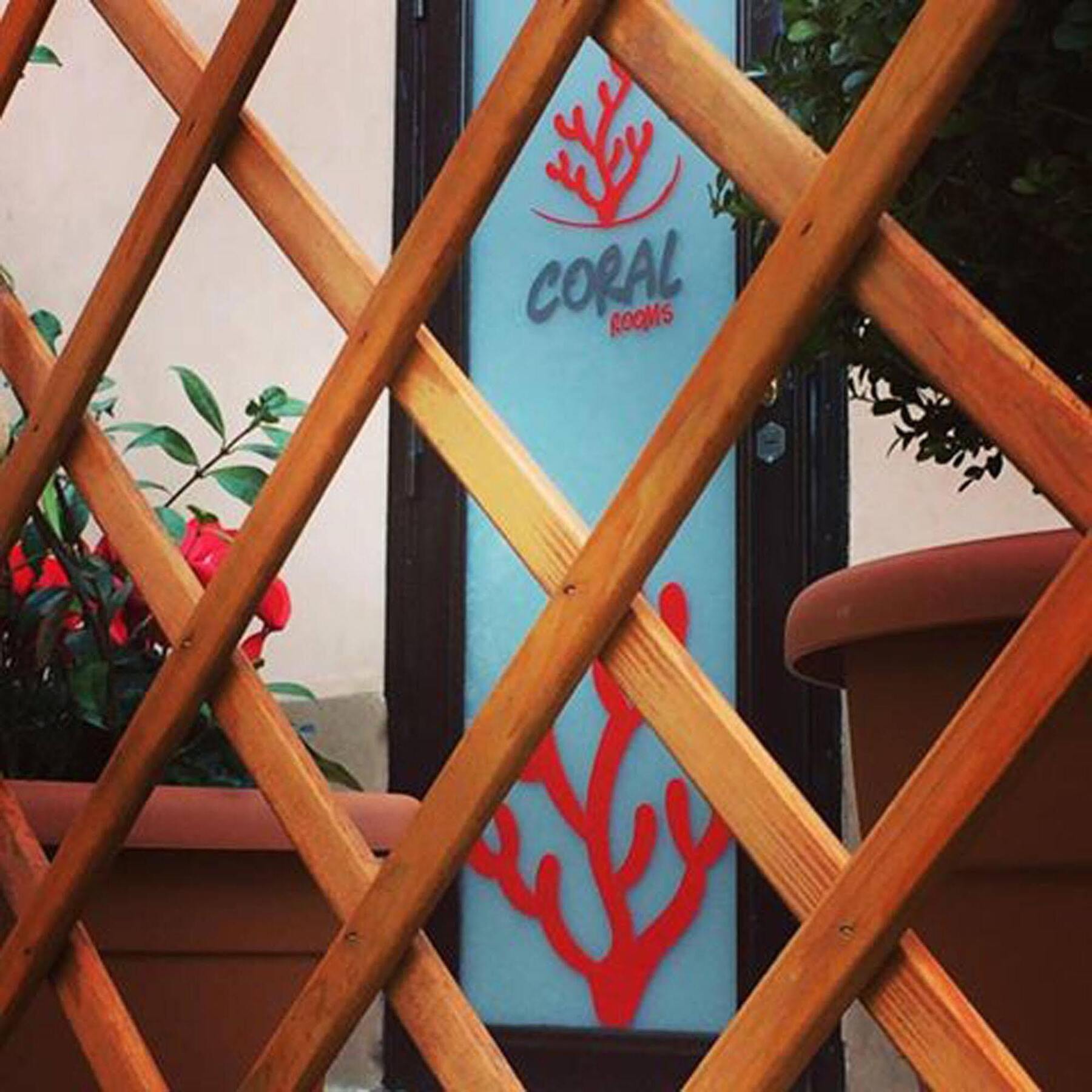 Coral Rooms توري دل غريكو المظهر الخارجي الصورة